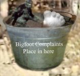 bf bucket of...jpg