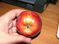 apple.JPG apple.JPG