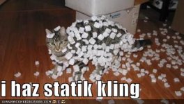 funny-pictures-cat-has-static-cling.jpg