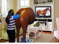 a201_equine-anal-probe.jpg