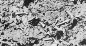 Treblinka human Ash closeup.jpg