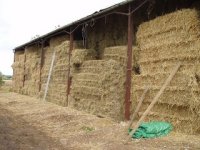 straw.jpg