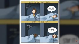 Screenshot (7).jpg Screenshot (7).jpg