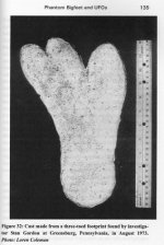 three-toed Coleman.jpg