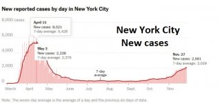 NYC New cases 11282020.jpg