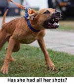 Put her on a leash.jpg