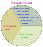 Memes_ReproductiveCategories_2A.jpg