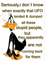 1738652325327.png
