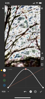 IMG_5224.png
