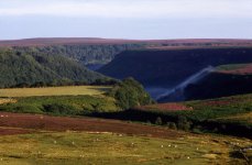 1763296071302.jpeg 1763296071302.jpeg