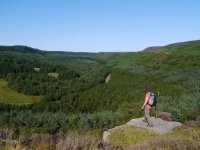 1763296150556.jpeg 1763296150556.jpeg