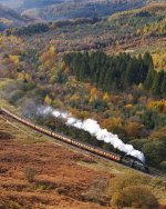 1763296186401.jpeg 1763296186401.jpeg