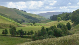 1763312660968.png 1763312660968.png