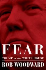 Fear_by_Woodward_cover .jpg
