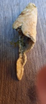 bone4.jpg