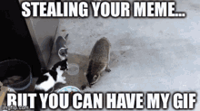 meme-thief-stealing-807036525.gif