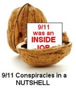 911 Nutshell.jpg