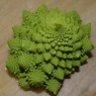 Cabbage