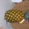 Senor_Pointy