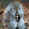 Ratatoskr