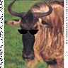 Gnu Ordure