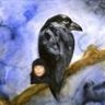 Crowlogic