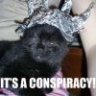 TinfoilCat