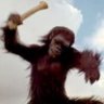 Humanzee
