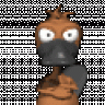 The Platypus