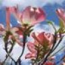 Mary_H