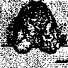 Neutiquam Erro