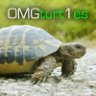 OMGturt1es