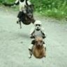 HoverBoarder