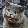 HappyCat