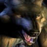 Frozenwolf150