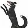 The Black Fox