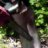 Crazy Chainsaw