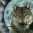 Wolfman