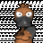 The Platypus