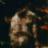 OntarioSquatch